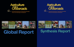 Cover des globalen Berichts und des Synthese-Berichts