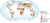 UNEP Market Access