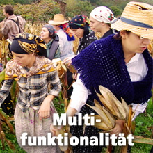 Multifunktionalität