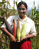 Kleinbäuerin in Honduras (Foto: AgriCultures Network) Kleinbäuerin in Honduras