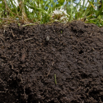 Boden - ein Speicher (NRCS Soil Health/Flickr.com) SOil