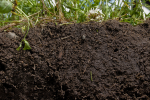 Böden können Emissionen einsparen (Foto: NRCS, bit.ly/NRCS_HS2, bit.ly/4_CC_BY_2-0) Soil2