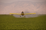 Chemiekeule: Wer profitiert von dieser Art der Landwirtschaft? (Foto: Greg Jordan/flickr) Cropduster