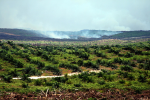 Indonesien: Rodung für Palmöl (Foto: Wakx/flickr.com) Deforestation