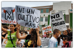 Weltweit protestierten Tausende gegen Monsanto - wie hier in Puerto Rico (Foto: Noelia González Casiano) Monsanto