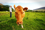 TTIP: Kleine Höfe werden verlieren (Foto: CC0/Flickr) Kuu
