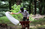 Düngung einer Ölpalmen- plantage in Indonesien (Foto: Agus Andrianto/CIFOR) Düngung