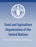 FAO FAO