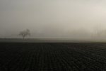Nebulöse Konzepte bei COP27? (Foto: CC0) Nebel