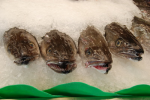 Fisch für Europa verursacht mancherorts leere Teller im globalen Süden (Foto: d.holtorf/pixelio.de) Fisch