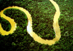 Umkämpftes Land: Amazonas (Foto: lubasi/flickr.com) Wald