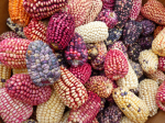 Gesundheit braucht Vielfalt (Foto: CC0) Corn
