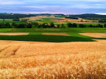 Im Burgenland wird 28,4% der Fläche bio bewirtschaftet (Foto: CC0) Burgenland