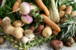 Vielfalt kann Erträge steigern (Foto: Charles Smith/Flickr) Crop