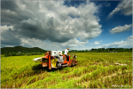 Die Landwirtschaft ist Klima- sünder, bietet aber Potenzial für Einsparungen (Foto: David Yu) China