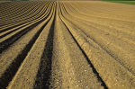 Begehrtes Gut: Fruchtbare Böden (Foto: CCO, Pixabay) Land