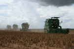 Sojaproduktion: die EU lagert die Folgen aus (Foto: CC0) Land