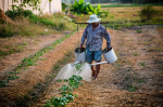Wasser - nicht wegzudenken aus der Landwirtschaft (Foto: CC0) Wasser