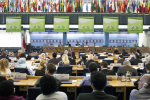 Plenum des CFS in Rom (Foto: FAO/Giuseppe Carotenuto) Plenum