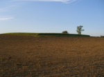©Fotografenname: Mariocopa, www.pixelio.de Bild Ackerland