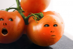 Kein Patent auf Leben: Einspruch gegen Syngentas Tomaten-Patent (Foto: Randi Boice/Flickr.com) Einspruch
