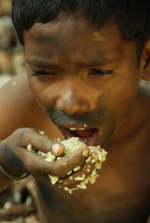 Agrarminister wollen weltweiten Hunger bekämpfen (Photo:istockPhoto/Likhitha) Hunger