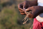 Die meisten Hungernden leben in Asien (Foto: Gwenael Piaser/flickr) Asien