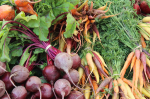Bio kann die Welt ernähren (Foto: CC0) Bio