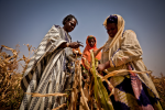 Dürren beeinträchtigen bereits die Erträge in vielen Ländern (Foto: Oxfam International) Duerre