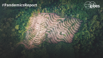Eines der Coverfotos des Berichts IPBES-Cover