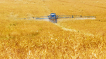 Große Flächen, intensive Nutzung, geringer Artenvielfalt (Foto: CC0) land