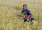 Apatani-Frau (Foto: Global Landscapes Forum, bit.ly/Apatani, bit.ly/ccby_20) India