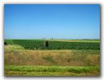 Bauer in Rumänien - noch kann er sein Land selbst bestellen (Foto: cod_gabriel/flickr) Rumänien