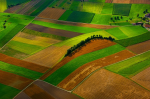 Der WBGU will eine Landwende (Foto: CC0) Feld
