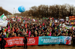 Demozug in Berlin (Foto: „www.wir-haben-es-satt.de/ Die Auslöser Berlin“) Demo