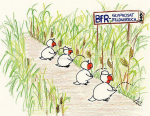 Glyphosat-Expertenkommission bei der Arbeit. Glyphosat-Expertenkommission bei der Arbeit.