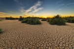 Eine Heißzeit hätte fatale Folgen für die Landwirtschaft (Foto: CC0) Warm