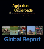 Der globale IAASTD-Bericht Global