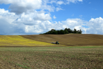 Die Preise für Ackerland in der BRD wachsen in den Himmel (Foto: CC0, Brockenhexe) Acker