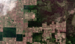 Abholzung für die Tierzucht in Paraguay (Foto: European Space Agency) Wald