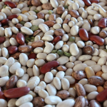 Schöne Saatgutvielfalt (Foto: Carol VanHook/Flickr.com) Seeds
