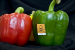 Paprika: oft pestizidbelastet (Foto: Global2000/flickr.com) Paprika