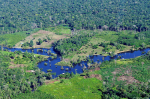 Luftaufnahme des Amazonas- gebiets Foto: CIFOR/flickr.com Luftaufnahme des Amazonas