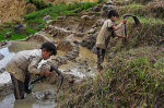 Kinder arbeiten in einem Feld in den Bergen Vietnams (Foto: ILO/Hoang Dinh Chieu) Kinderarbeiter