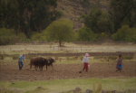 Die FAO fordert mehr Investitionen in ländliche Gebiete (Foto: A. Beck) Bauer