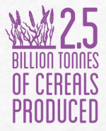 Source: FAO 2,5 billion tons of cereals 2013