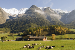 Hof in Österreich (Foto: Tom Kelly/Flickr.com) Farm