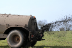 Seit Jahren stagnieren die Emissionen der Landwirtschaft statt zu sinken (Foto: CC0) Dunger