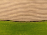 Der Kommissionsvorschlag bevorzugt Flächenprämien (Foto: CC0) Feld