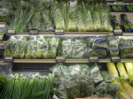 Endstation Müll: 68% der Salate werden nie gegessen (Foto: Globalism Pictures) Salat